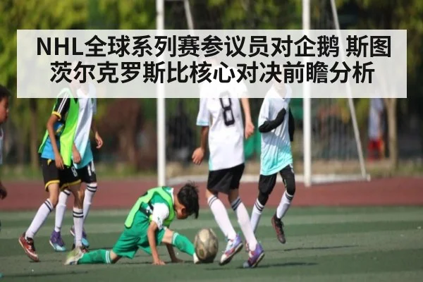 NHL全球系列赛参议员对企鹅 斯图茨尔克罗斯比核心对决前瞻分析
