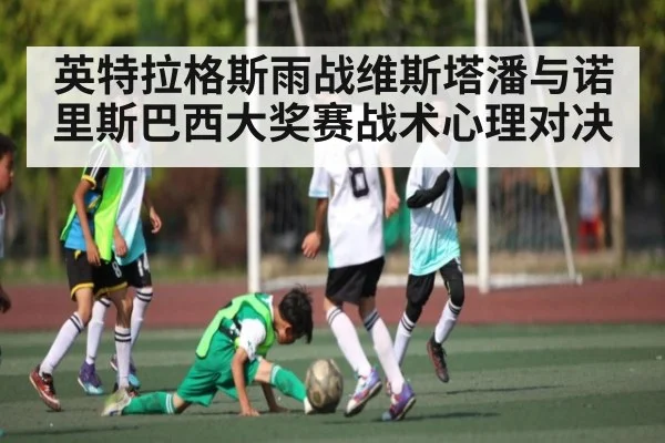 英特拉格斯雨战维斯塔潘与诺里斯巴西大奖赛战术心理对决